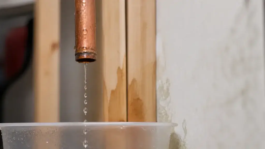 Continuous pipe leak wasting water UK | Vortex Leak Detection